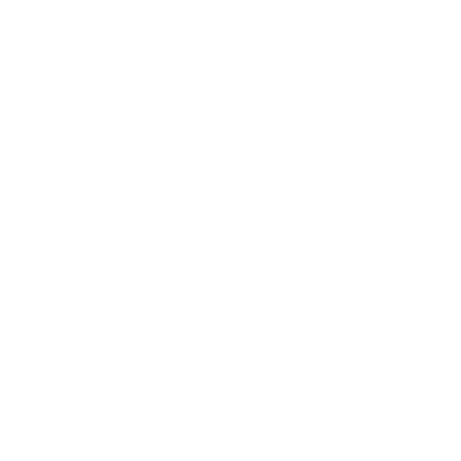 finaX