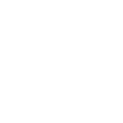 Fliz Video Generator