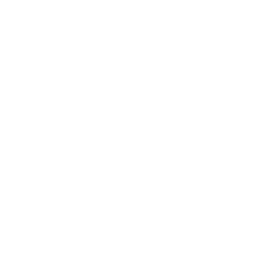Scopi