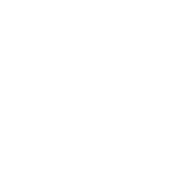 Force24 logo