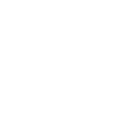 Byteplant Phone Validator