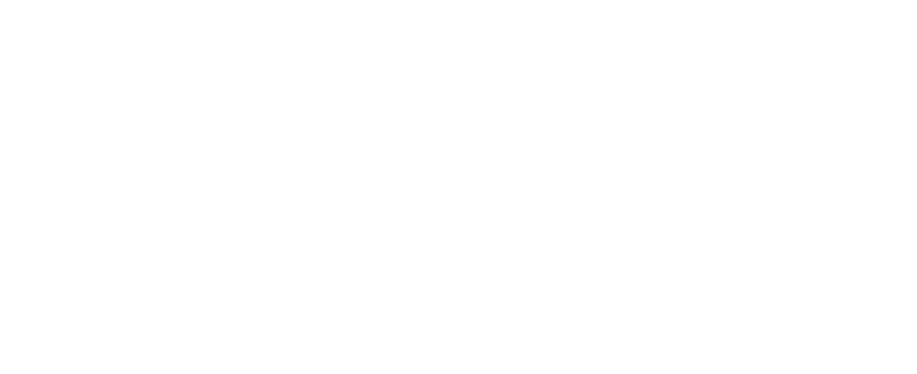 Aarin logo | Portuguese page
