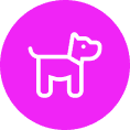 Dog-friendly offices