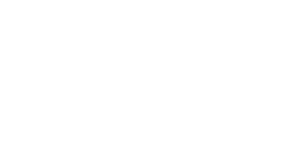 celonis logo