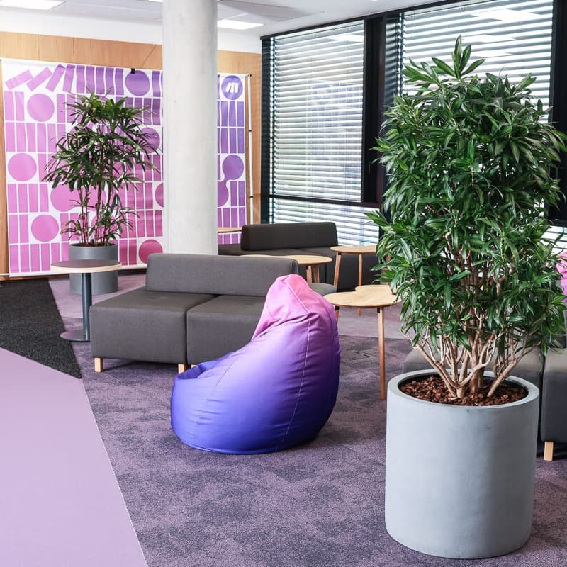 Professional expertise