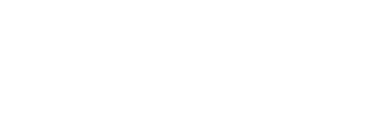 Finn logo