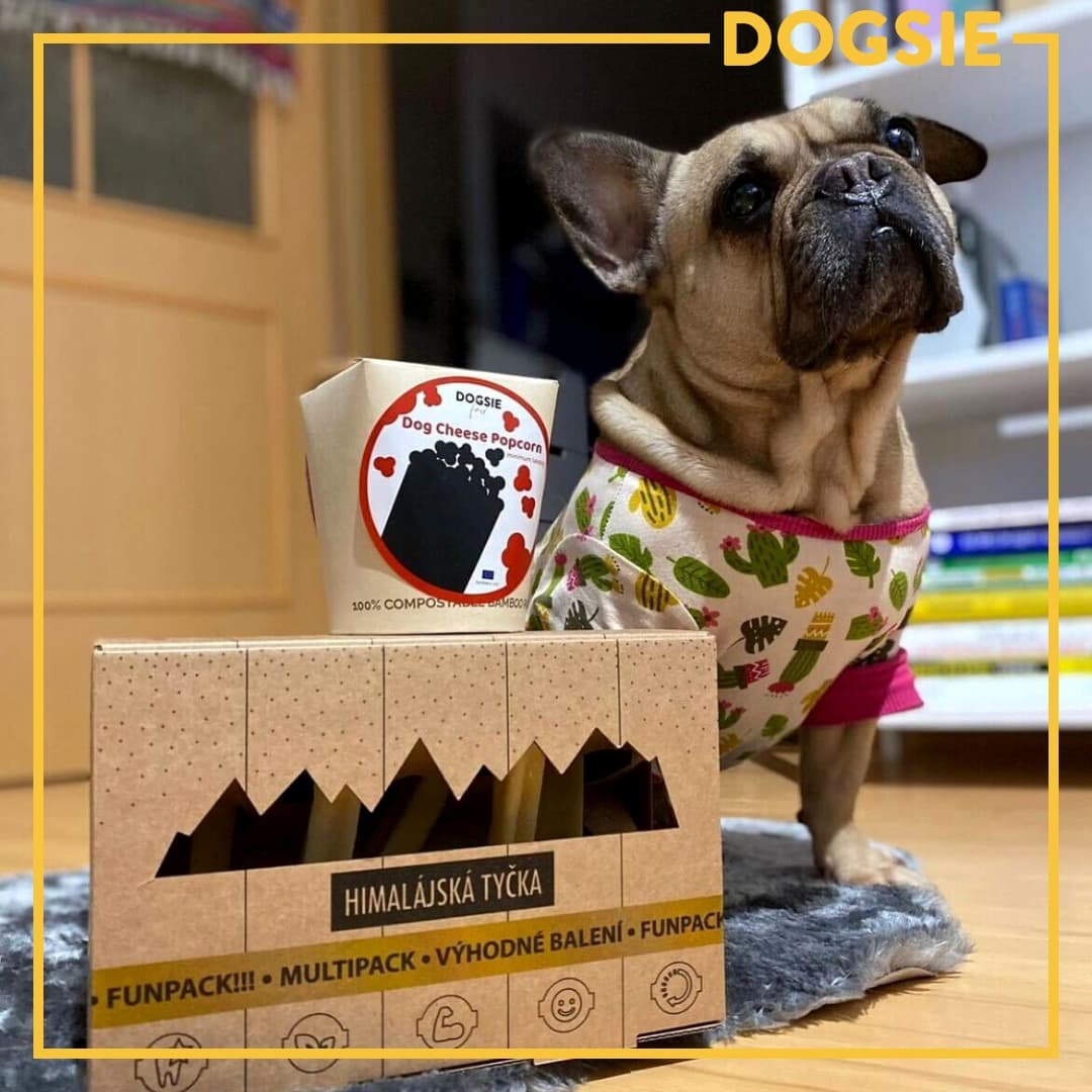 dogsie-subscription-box-photo