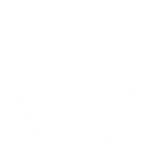 BrideScan
