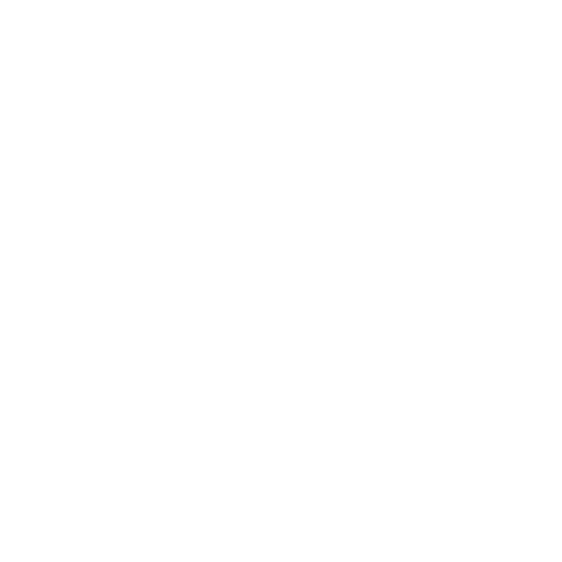 BringData.co