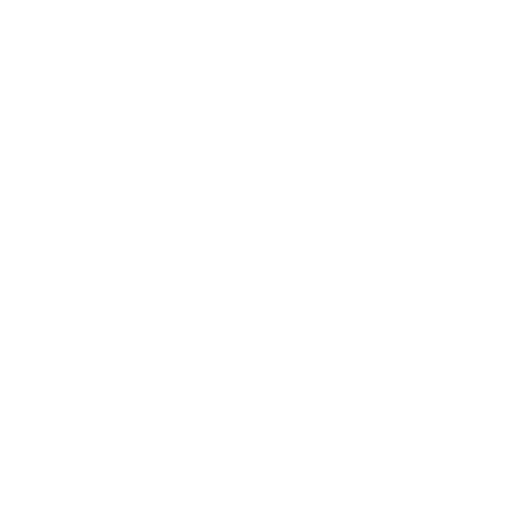 Bullet