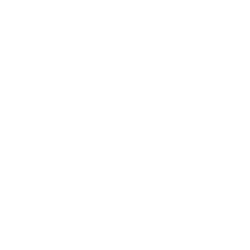 Clover POS
