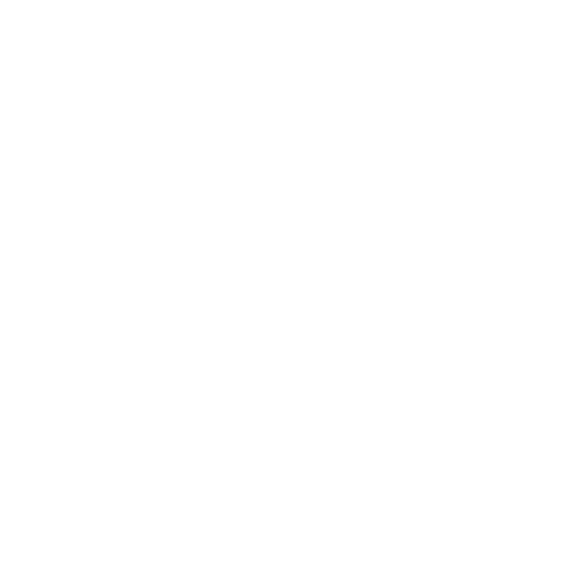 Fulcrum