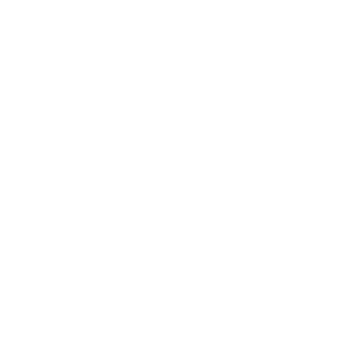 Google+