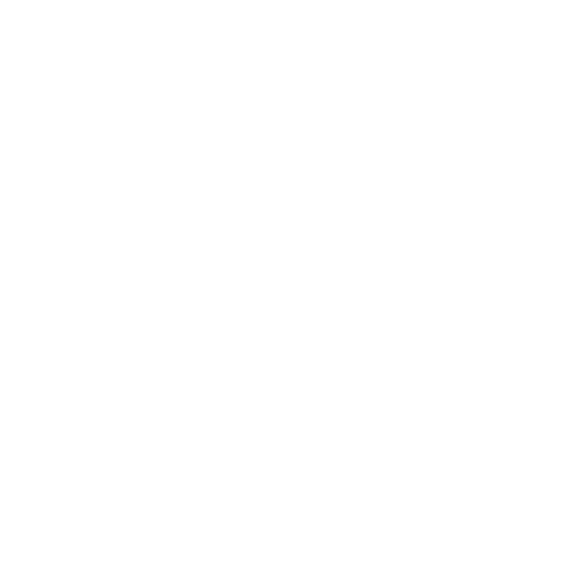 Google Shopping
