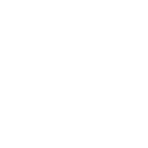 LionWheel Delivery