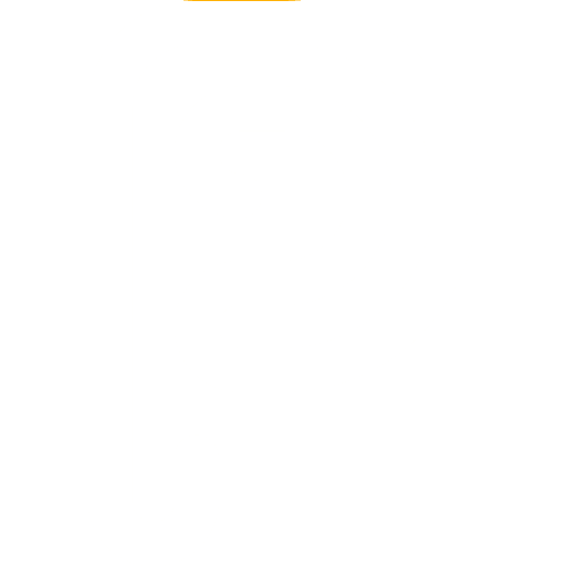 Pneumatic