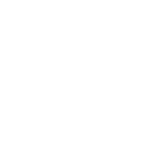 RapidReg