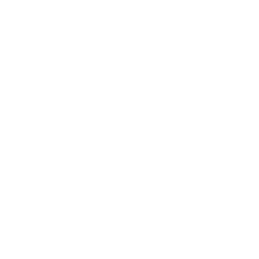 Schogini