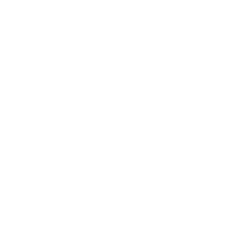 Segment