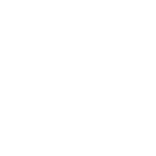 Skyvern AI
