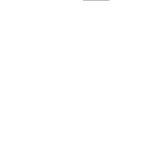 TikTok Campaign Management