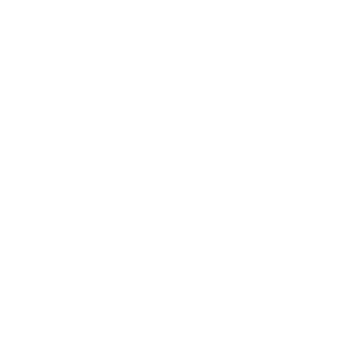 VIES API