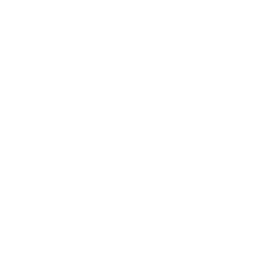 Voice Partner