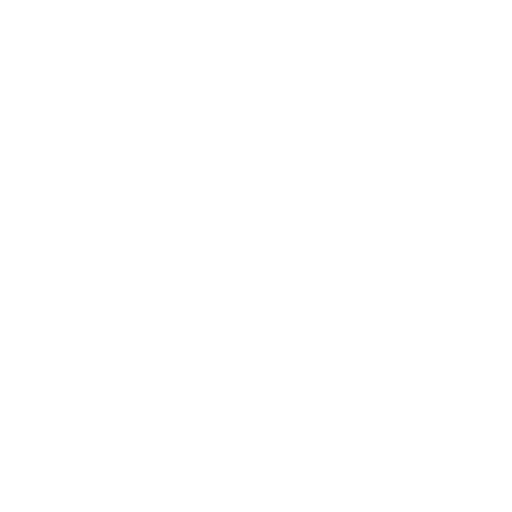 watsonx.ai