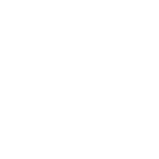 Zyllio