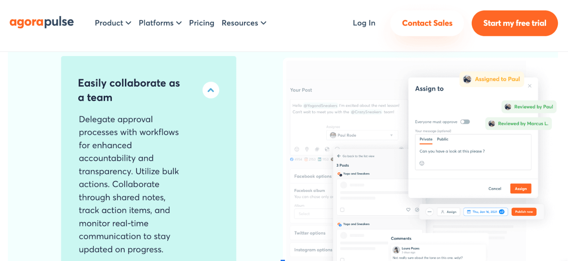 agora pulse social media dashboard